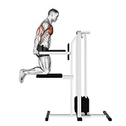 Asistido chest fondo (kneeling)