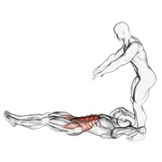Asistido tumbado leg elevación with throw down