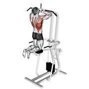 Asistido parallel close grip dominada