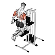 Asistido triceps fondo (kneeling)