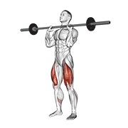Frontal chest sentadilla con barra