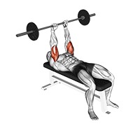 Tumbado triceps extensión con barra
