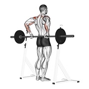 Posterior delt elevación con barra