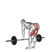Straight leg peso muerto con barra