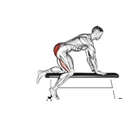 Bench hip extensión