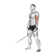 One arm curl en polea