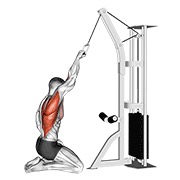 One arm straight back high remo (kneeling) en polea