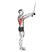 Pushdown (straight arm) v. 2 en polea