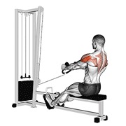 Posterior delt remo (stirrups) en polea