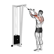 Posterior delt remo (with rope) en polea