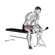 Inverso wrist curl en polea