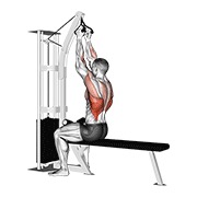 Sentado high remo (v-bar) en polea