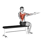 Sentado one arm alternate remo en polea