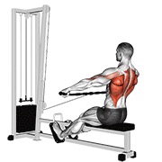 Sentado wide-grip remo en polea