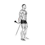 De pie back wrist curl en polea