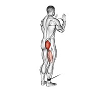 De pie hip extensión en polea