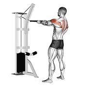 De pie posterior delt remo (with rope) en polea