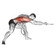 Twisting pull en polea