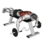 Cambered bar tumbado remo