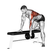 One arm bent-over remo con mancuerna