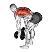 Bent over remo con mancuerna