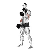 Hammer curl con mancuerna