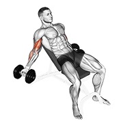 Inclinado inner curl de bíceps con mancuerna
