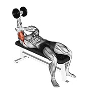 Tumbado one arm pronated triceps extensión con mancuerna