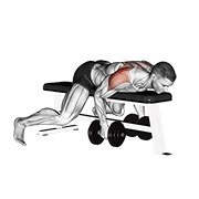 Tumbado posterior elevación lateral con mancuerna