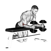 Over bench neutral wrist curl con mancuerna