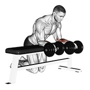 Over bench revers wrist curl con mancuerna