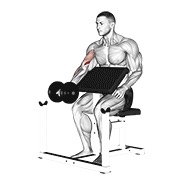 Preacher curl con mancuerna