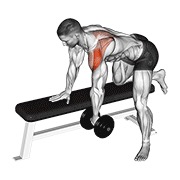 Posterior delt row_shoulder con mancuerna