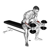 Sentado neutral wrist curl con mancuerna