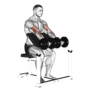 Sentado preacher curl con mancuerna