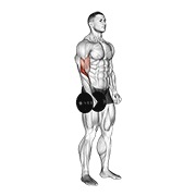 De pie one arm inverso curl con mancuerna
