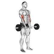Ez con barra close-grip curl