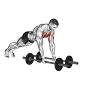 Floor aperturas (with barbell)