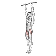 Hanging leg elevación