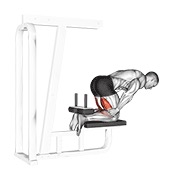 Inverse curl femoral (bench support)