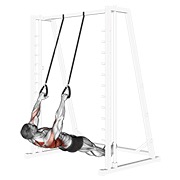Inverted remo with straps