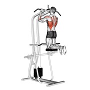 De palanca asistido chin-up
