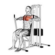 De palanca chest press
