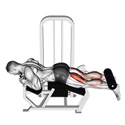 De palanca tumbado curl femoral