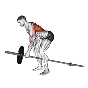 De palanca one arm bent over remo