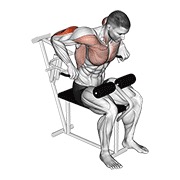 De palanca overhand triceps fondo