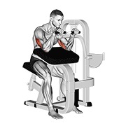 De palanca triceps extensión