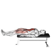 Tumbado leg elevación flat bench
