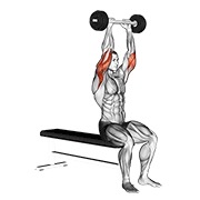Olympic con barra triceps extensión