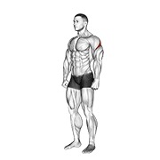 Posterior deltoid stretch